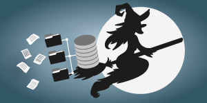 The Wicked Data Warehouse Witch